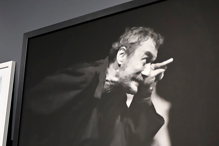 Автори - Врамени принтови - Галерија Чудна шума