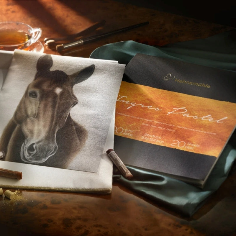 Хартија за суви техники, пастел, молив, црвена креда - Чудна шума